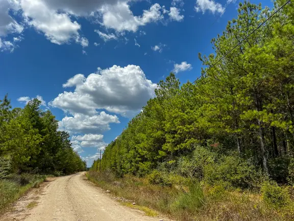 585 Acres | The Game Preserve