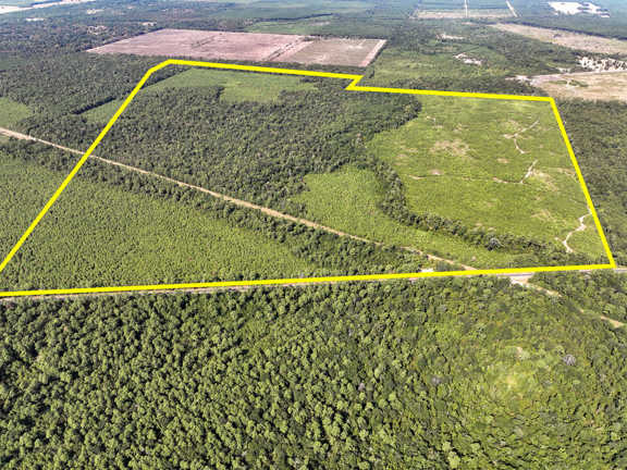 640 Acres | FM 1008