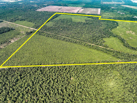 640 Acres | FM 1008