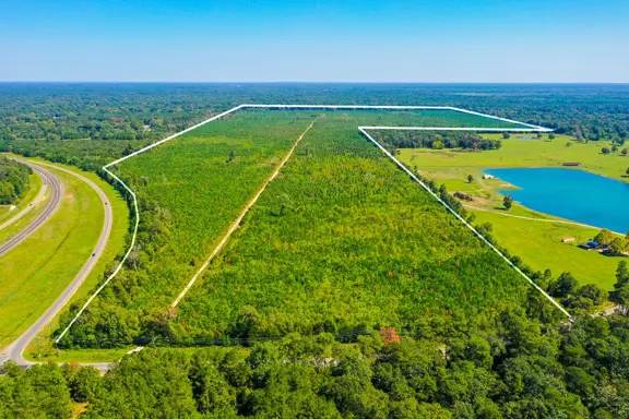 323 Acres | FM 1010