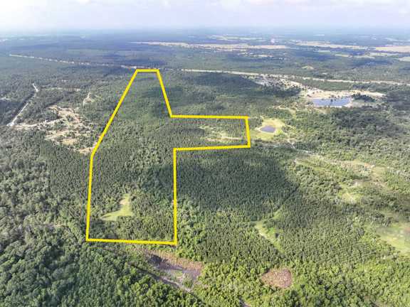 236 Acres | IH-45N | T-271006-2