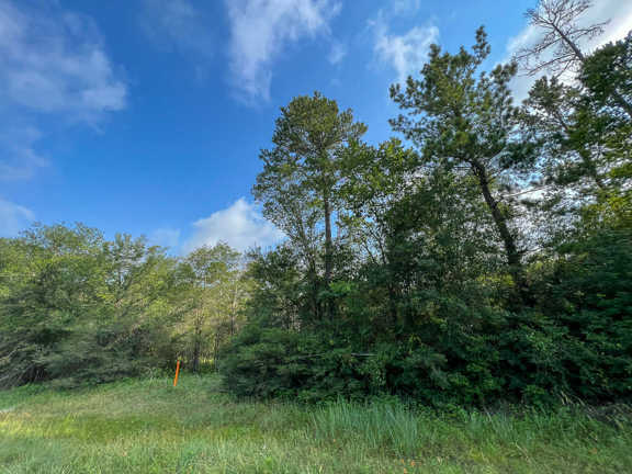 257 Acres | FM 2989 | T-271004-2