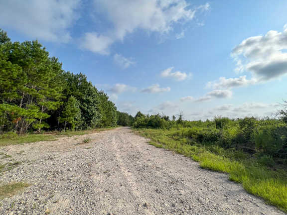 570 Acres | FM 2989 | T-271006-1