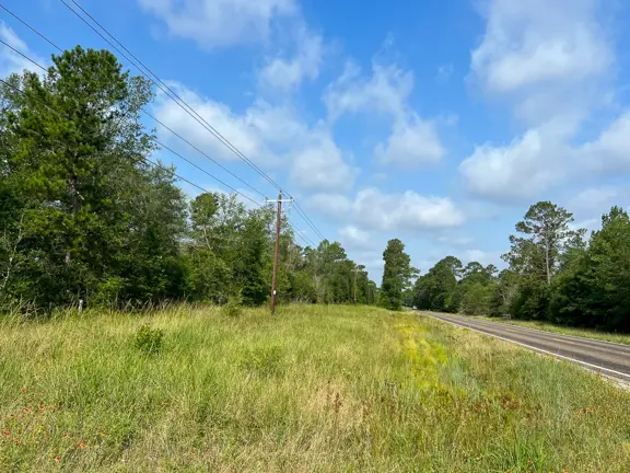 570 Acres | FM 2989 | T-271006-1