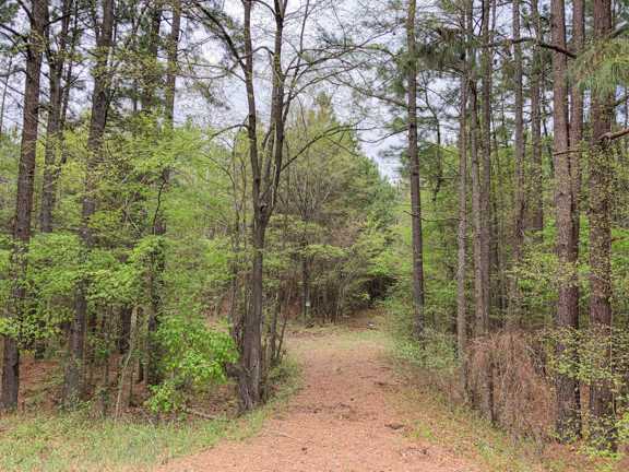 463 Acres | Hwy 67 | Maya 1003