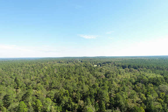 146 Acres | FM 355