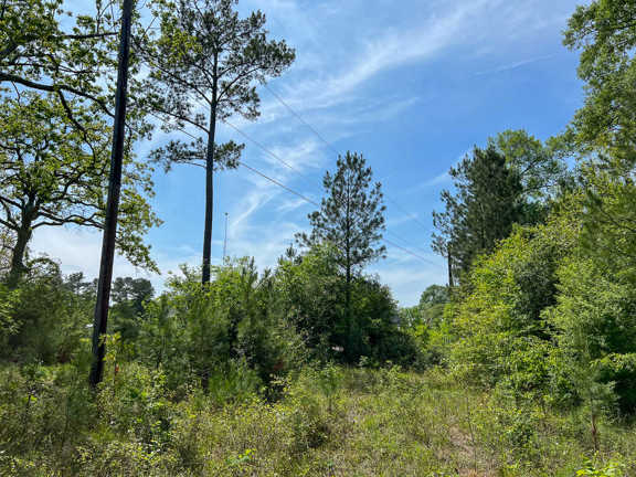 129 Acres | Walker Loop