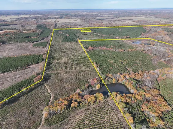 433 Acres | CR 3201 | Maya 1008