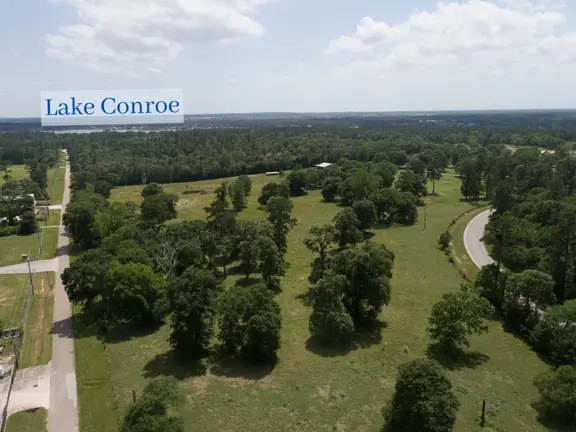 20 Acres | FM 1097