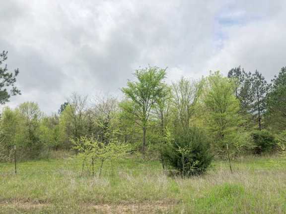 699 Acres | CR 4640 | Tract 1002