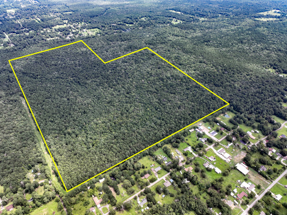 310 Acres | Ellis Lane | 01167