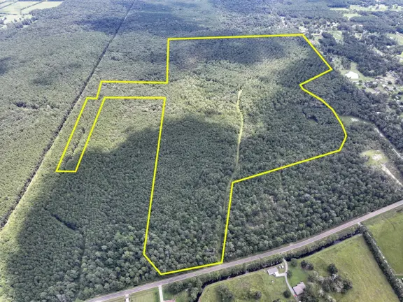 545 Acres | FM 1136 | 01325