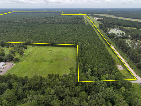 784 Acres | T-4 | CR 2204 | 01286/01287