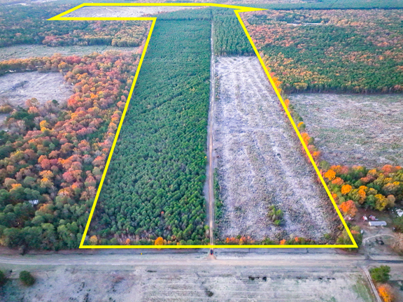 383 Acres | FM 2120 | Kiskadee