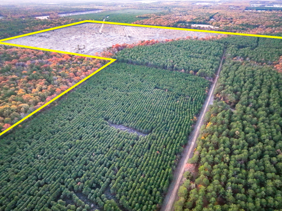 383 Acres | FM 2120 | Kiskadee