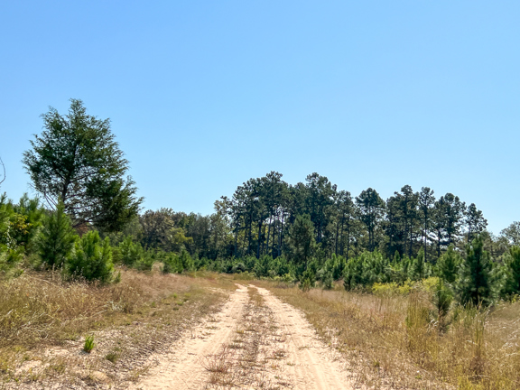 1,726 Acres | Neches River Front