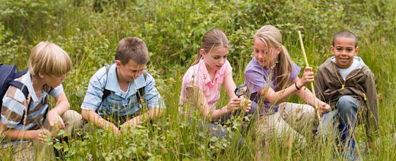 Supporting school visits under the Educational Access option 