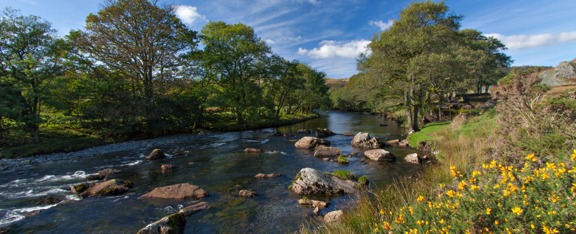 Esmee Fairbourne Foundation publish their Freshwater Strategy Review