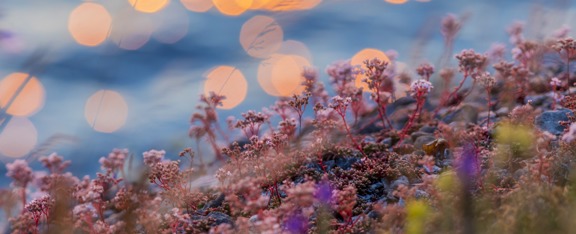 Evolved Research and Consulting appointed to Defra’s Research, Development and Evidence Framework