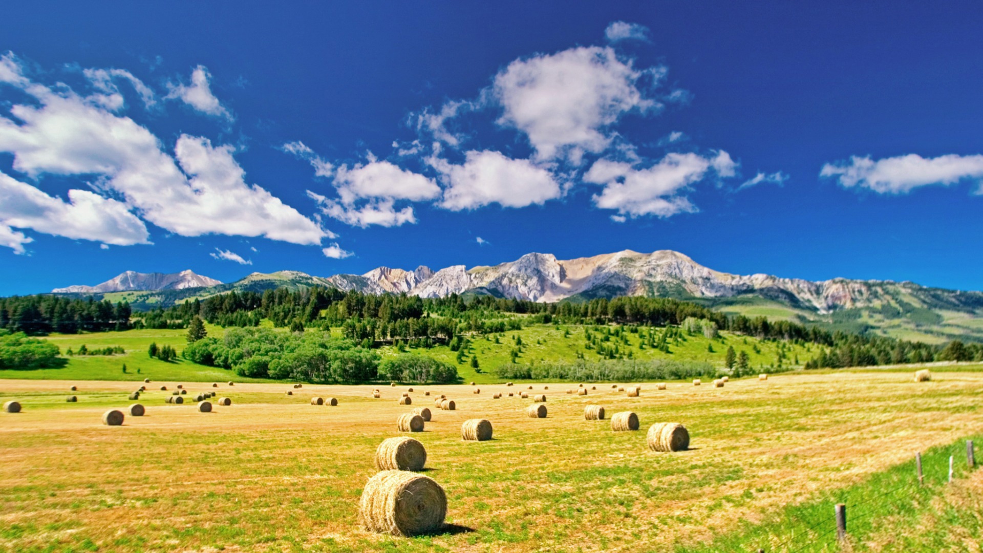 Hay bales