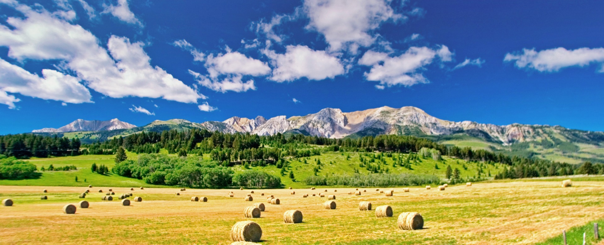 Hay bales