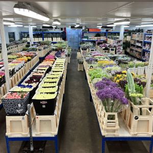 Fresh Cut flowers in our chilled display rooms