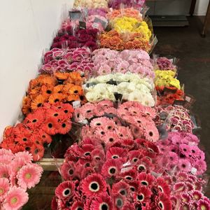 Fresh Cut flowers in our chilled display rooms