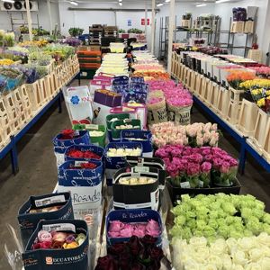 Fresh Cut flowers in our chilled display rooms