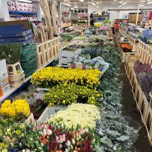 Fresh Cut flowers in our chilled display rooms