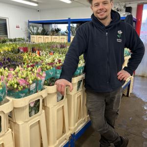 Fresh Cut flowers in our chilled display rooms