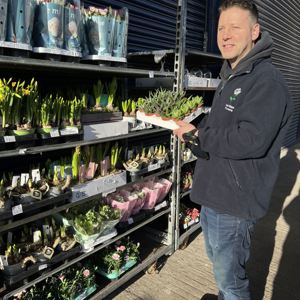 Fresh Cut flowers in our chilled display rooms