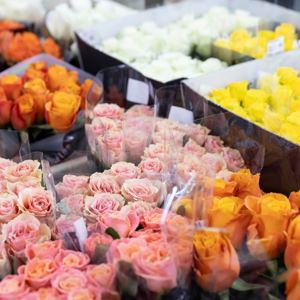 Fresh Cut flowers in our chilled display rooms